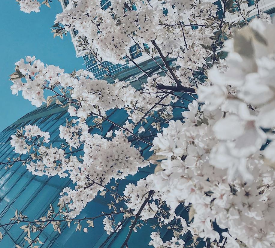 ULI Sustainability Outlook 2021